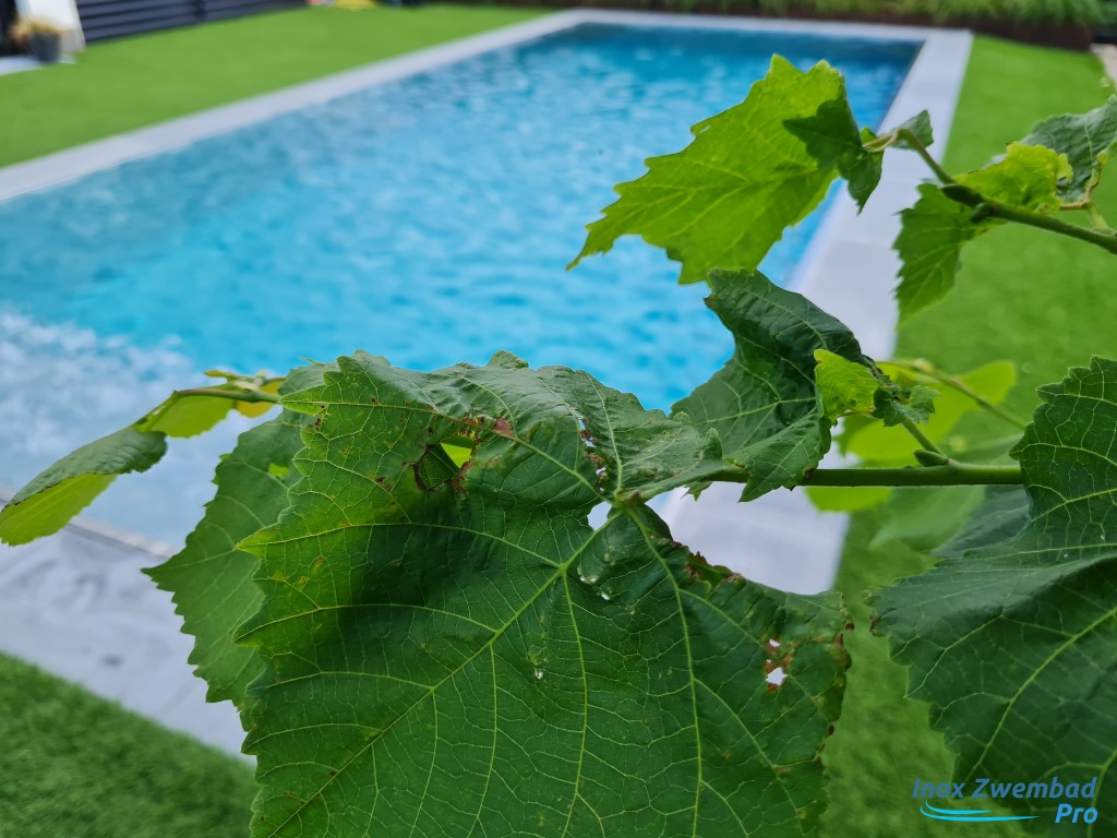 InoxZwembadPro00047.jpg